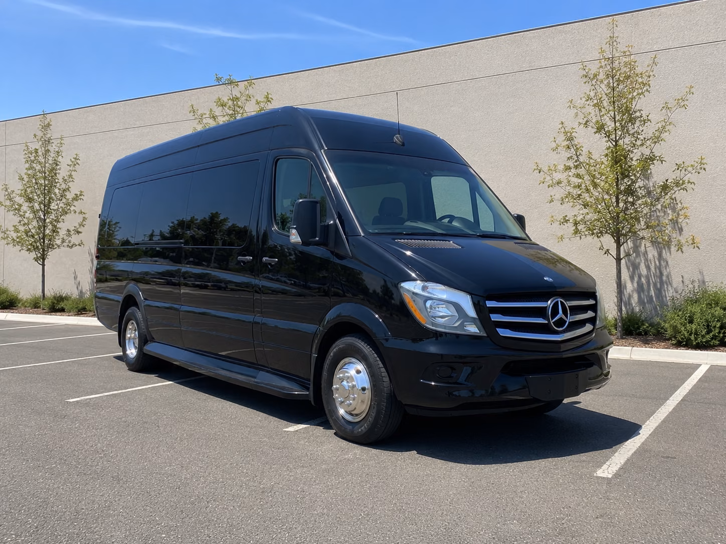 malden sprinter limousine
